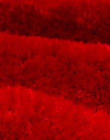 Високоворсний килим Lalee Olimp 551 Red - высокое качество по лучшей цене в Украине.